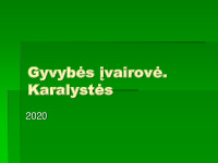 Gyvybės įvairovė projektas 1