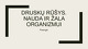Druskų rūšys: Žala ir nauda organizmui 