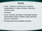 Ausis skaidrės 2