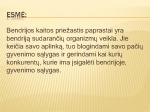 Bendrijų kaitos tipai ir trumpa charakteristika 3