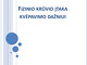 Fizinio krūvio įtaka kvėpavimo dažniui projektas