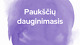 Paukščių dauginimasis