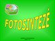 Fotosintezės procesas: fazės ir lygtis