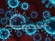 Bakterija ir virusas: skirtumai Infekcinės ligos (ŽIV, TBC, hepatitai, gripas, COVID)