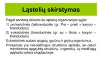 Eukariotinių ląstelių sandara Ląstelės membranos Membraniniai ir nemembraniniai ląstelės organoidai ir jų funkcijos Ląstelės dalijimasis Audiniai 2