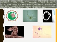 Užkrečiamos ir neužkrečiamos ligos projektas 2