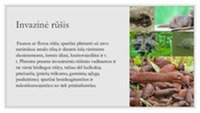 Invazinės rūšys skaidrės 2