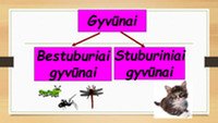 Skaidrės apie gyvūnų karalystę 3