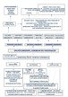 Smegenų schema