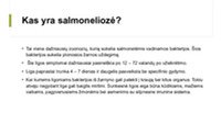 Salmoneliozė pristatymas 2