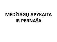 Medžiagų apykaita ir pernaša Kvėpavimo organų sistema 1