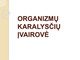 Organizmų karalysčių įvairovė skaidrės