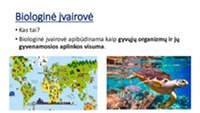 Skaidrės apie biologinę įvairovę Žemėje 3
