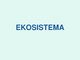 Skaidrės apie ekosistemą