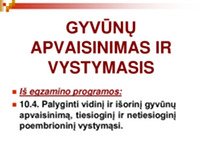 Gyvūnų apvaisinimas ir vystymasis skaidrės 1