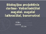 Vabzdėdžiai augalai 1