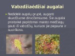 Vabzdėdžiai augalai 3