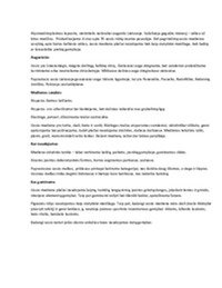 Uosis aprašymas 1
