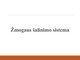 Žmogaus šalinimo organai