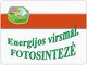 Energijos virsmai Fotosintezė