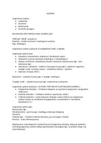 Audiniai pagrindai Konspektas 1