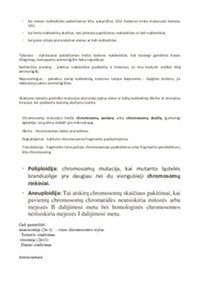 Genų mutacijos konspektas 2