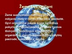 Gyvūnų evoliucija 2