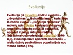 Gyvūnų evoliucija 3