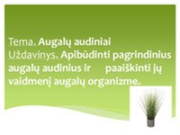Pagrindiniai augalų audiniai 1