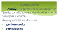 Pagrindiniai augalų audiniai 3
