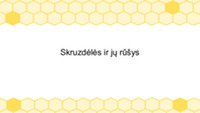 Skruzdėlės ir jų rūšys 1