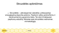 Skruzdėlės ir jų rūšys 2