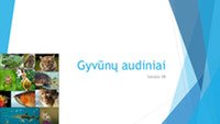 Skaidrės apie gyvūnų audinius 1