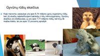 Skaidrės apie gyvūnų audinius 2