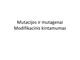 Mutacijos ir mutagenai skaidrės