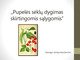 Pupelės sėklų dygimas skirtingomis sąlygomis