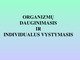 Organizmų dauginimasis ir individualus vystymasis