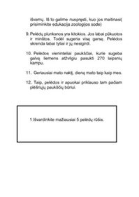 Gyvūno aprašymas: Pelėda 2
