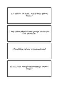 Gyvūno aprašymas: Pelėda 3