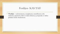 Skaidrės apie fosilijas 2