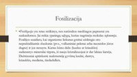 Skaidrės apie fosilijas 3