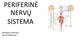 Nervų sistema: Somatinė ir periferinė