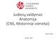 Judesių valdymas CNS