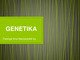 Skaidrės apie genetikos istoriją ir tyrimus