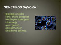 Skaidrės apie genetikos istoriją ir tyrimus 2