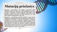 Mutacinis kintamumas: Genų mutacija 3