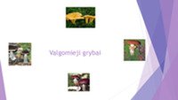 Skaidrės apie valgomus ir nuodingus grybus 2