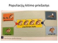 Populiacijos gausumo savireguliacija skaidrės 3