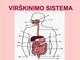 Žmogaus virškinimo sistemos sandara skaidrės