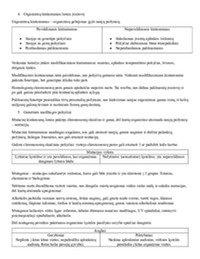 Genai ir paveldimumas skyriaus konspektas 2